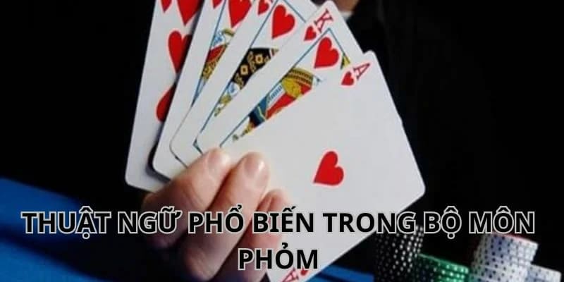 Các thuật ngữ phổ biến khi chơi phỏm online